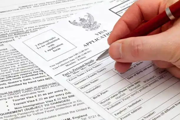 A person is applying for a Chinese visa, but doesn't know how to fill in the number of entries—single, double, or multiple.