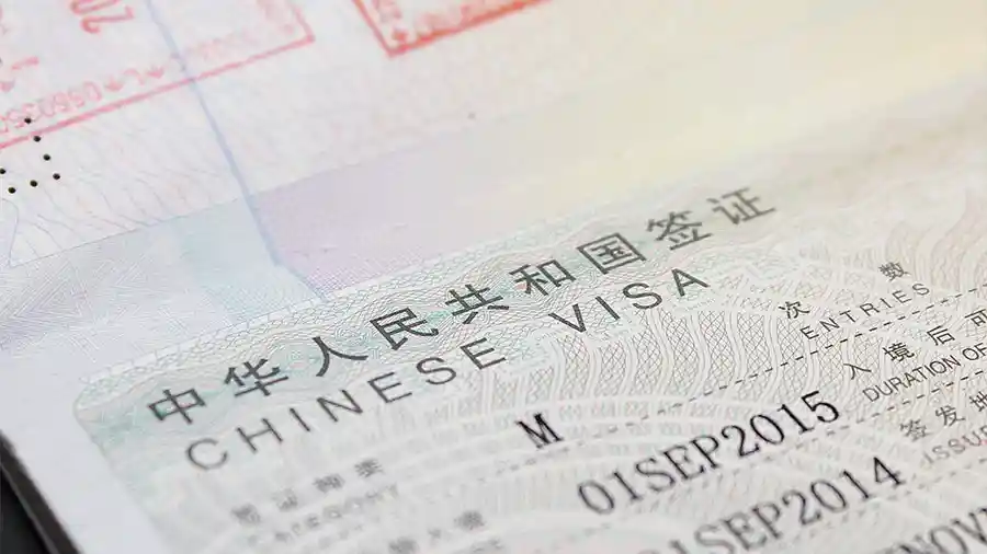 m chinese visa or considered as business visa that is release in year 2014