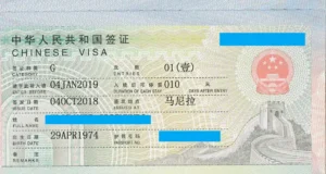 a photo of g or transit visa issued in year 2018 , single entry and have 10 days duration of stay