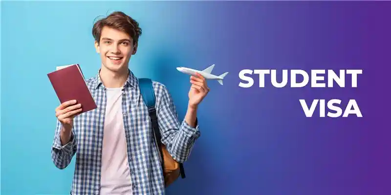Study visa type in a Chinese visa application