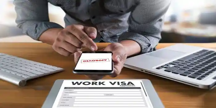 Work visa type in a Chinese visa application